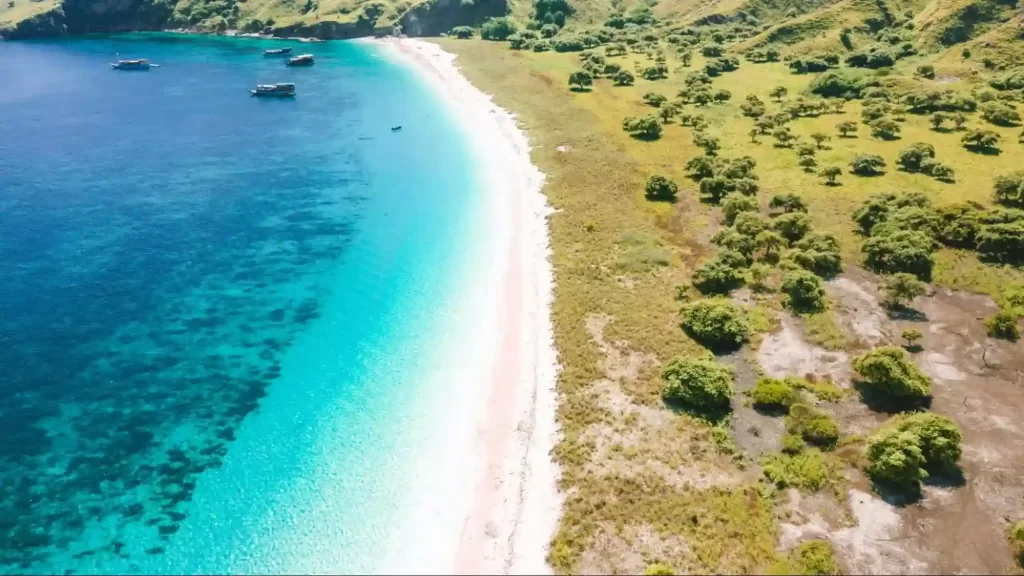 Pink Beach