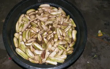Muku Loto (source: budaya-indonesia.org) | Traditional Foods in East Nusa Tenggara | IndonesiaJuara Trip