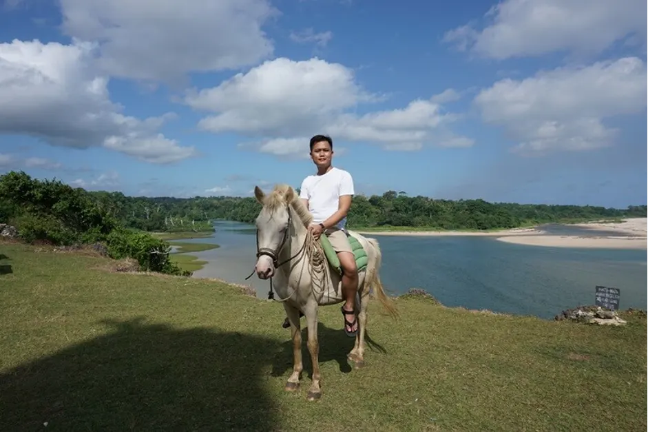 Sandalwood Horse in Ratenggaro Traditional Village