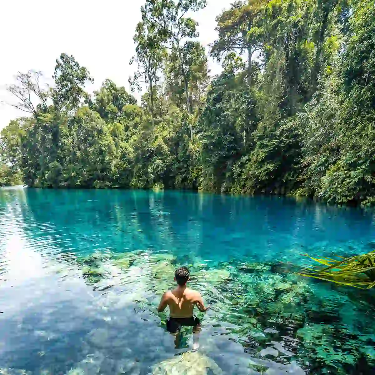 Labuan Cermin Lake Derawan