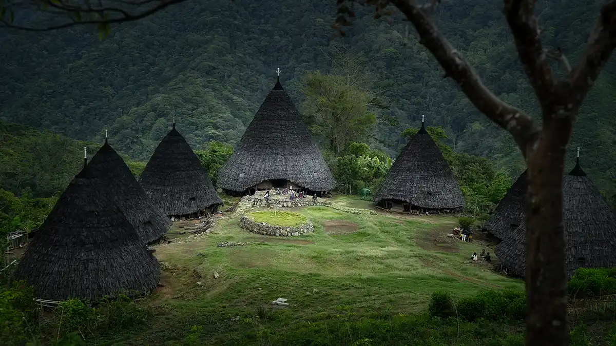 Open Trip Waerebo | IndonesiaJuara Trip