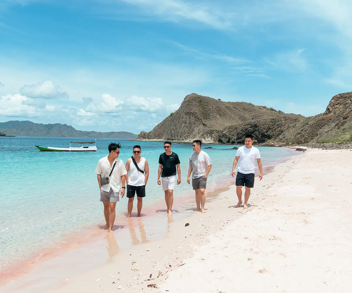 alasan harus ke pulau komodo