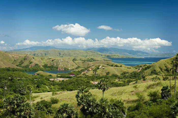 Rinca Island Labuan Bajo | IndonesiaJuara Trip
