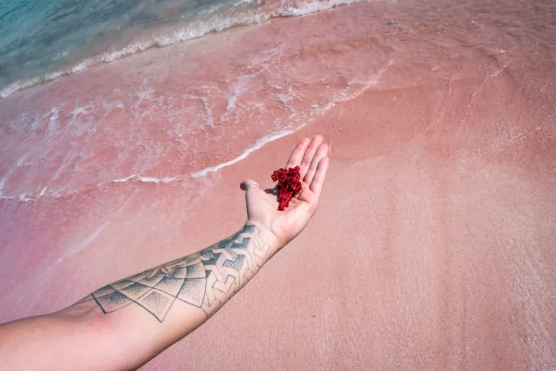 Kenapa Pink Beach Pasirnya Pink