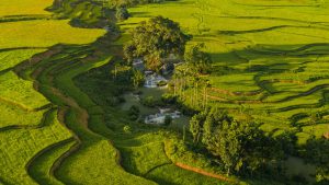 Weekacura Waterfall | Waterfalls in Indonesia | Sumba Tour | IndonesiaJuara Trip