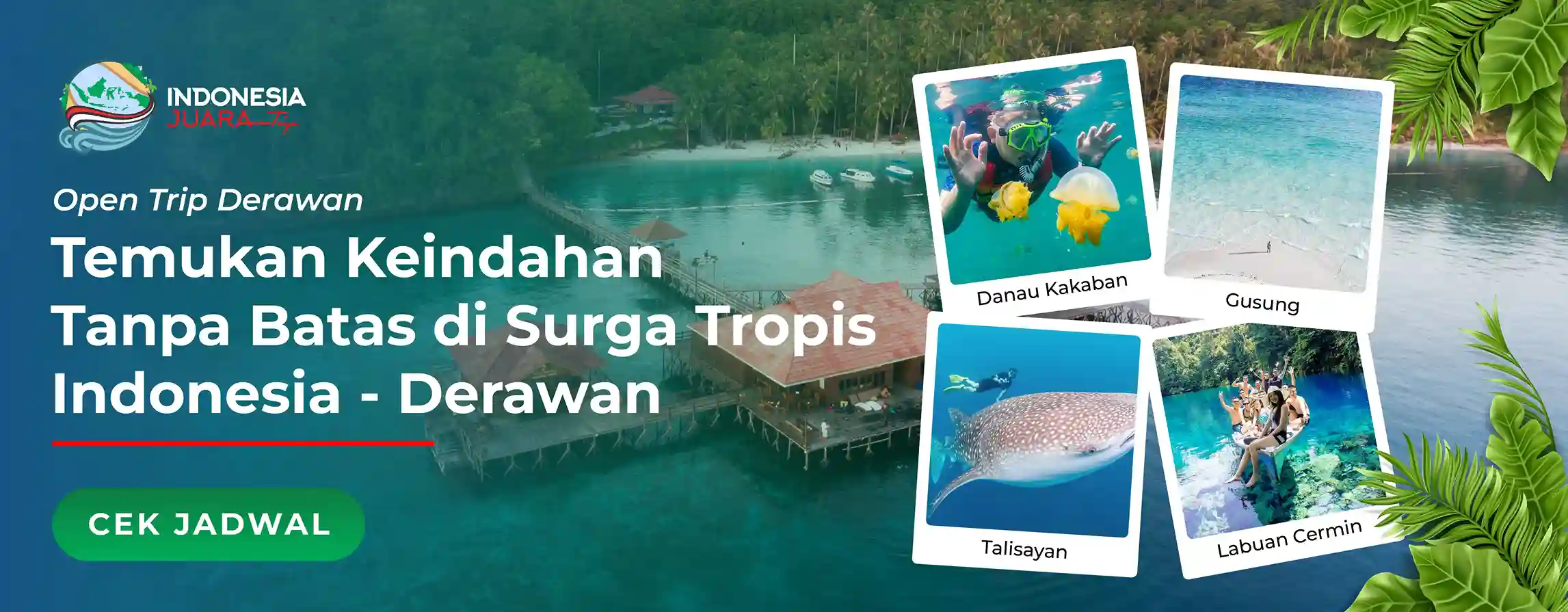 Open Trip Derawan - IndonesiaJuara