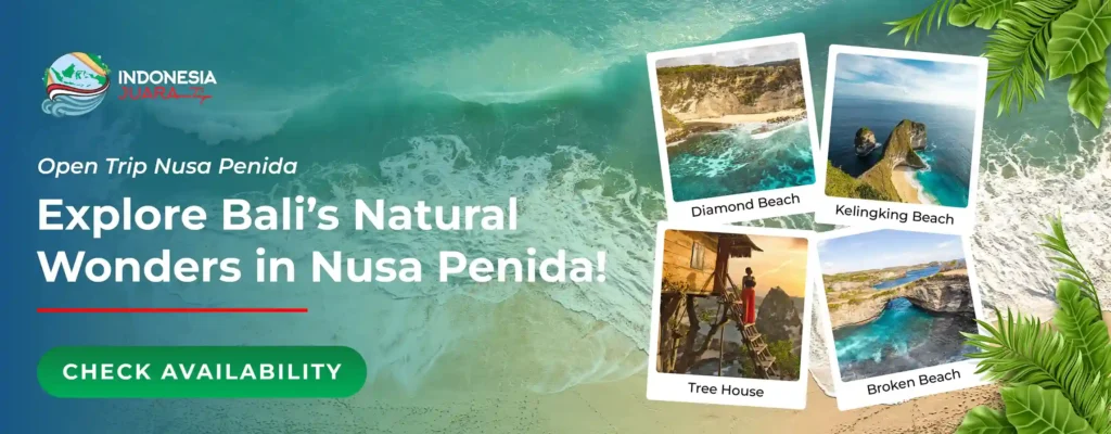 Open Trip Nusa Penida 2D1N - IndonesiaJuara