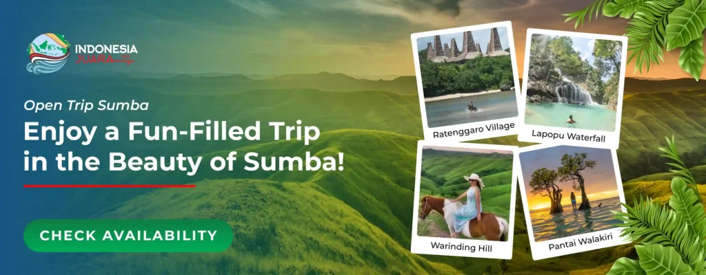 Open Trip Sumba - IndonesiaJuara
