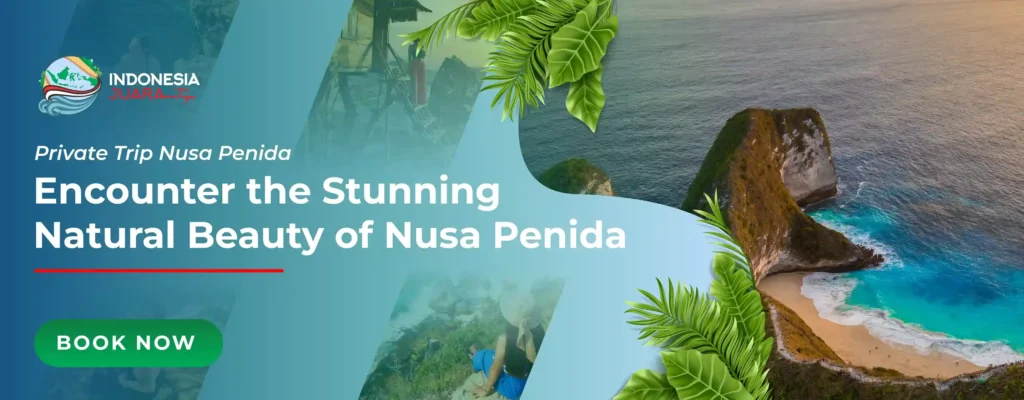 Private Trip Nusa Penida - IndonesiaJuara