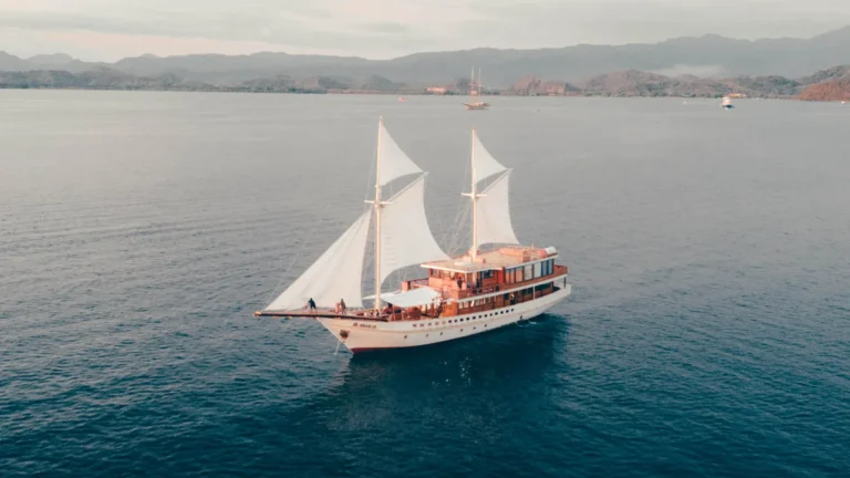 Best Time to Visit Komodo Island and Raja Ampat: Find Out Here!