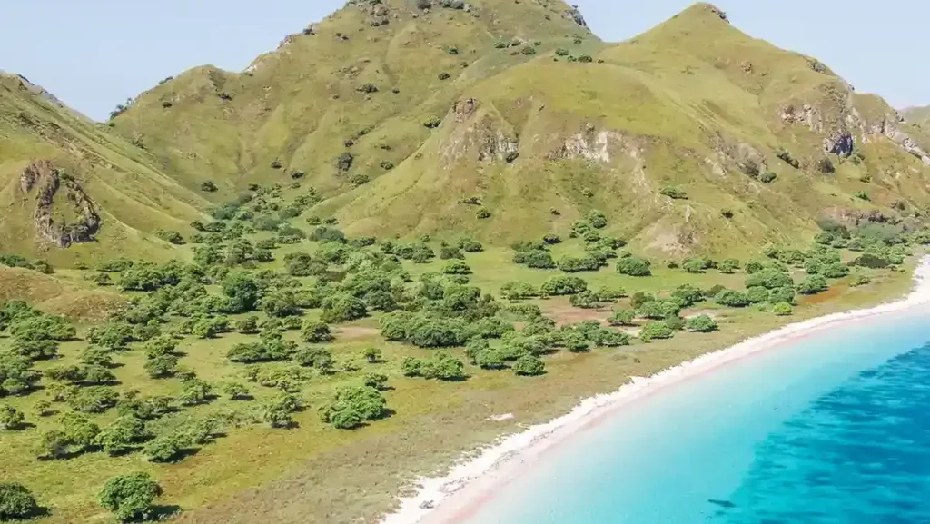 Pink Beach Labuan Bajo | IndonesiaJuara Trip