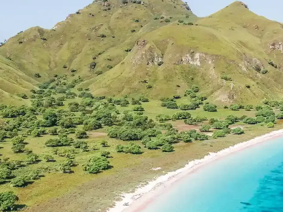 Pink Beach Labuan Bajo | IndonesiaJuara Trip