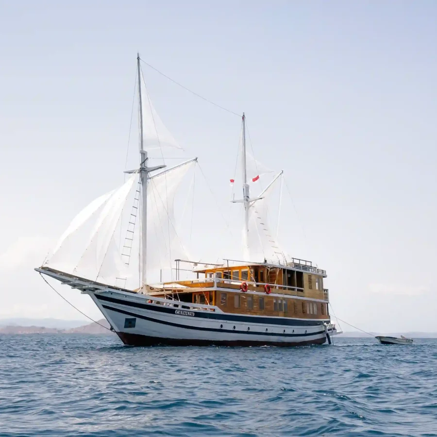 Catnazse Liveaboard Boat Charter | Komodo Tour | Indonesia Juara Trip