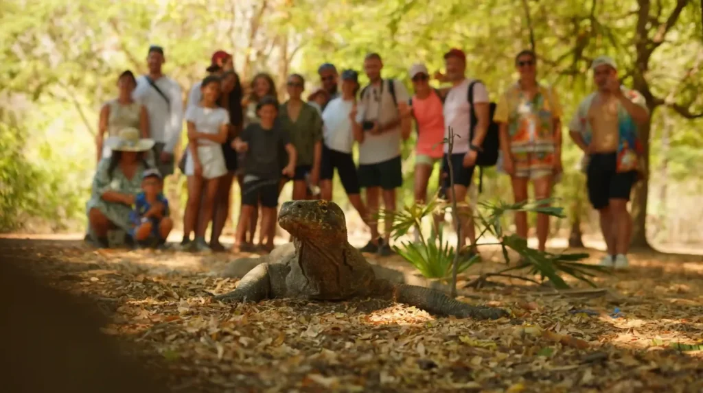 Komodo Island Tour | IndonesiaJuara Trip