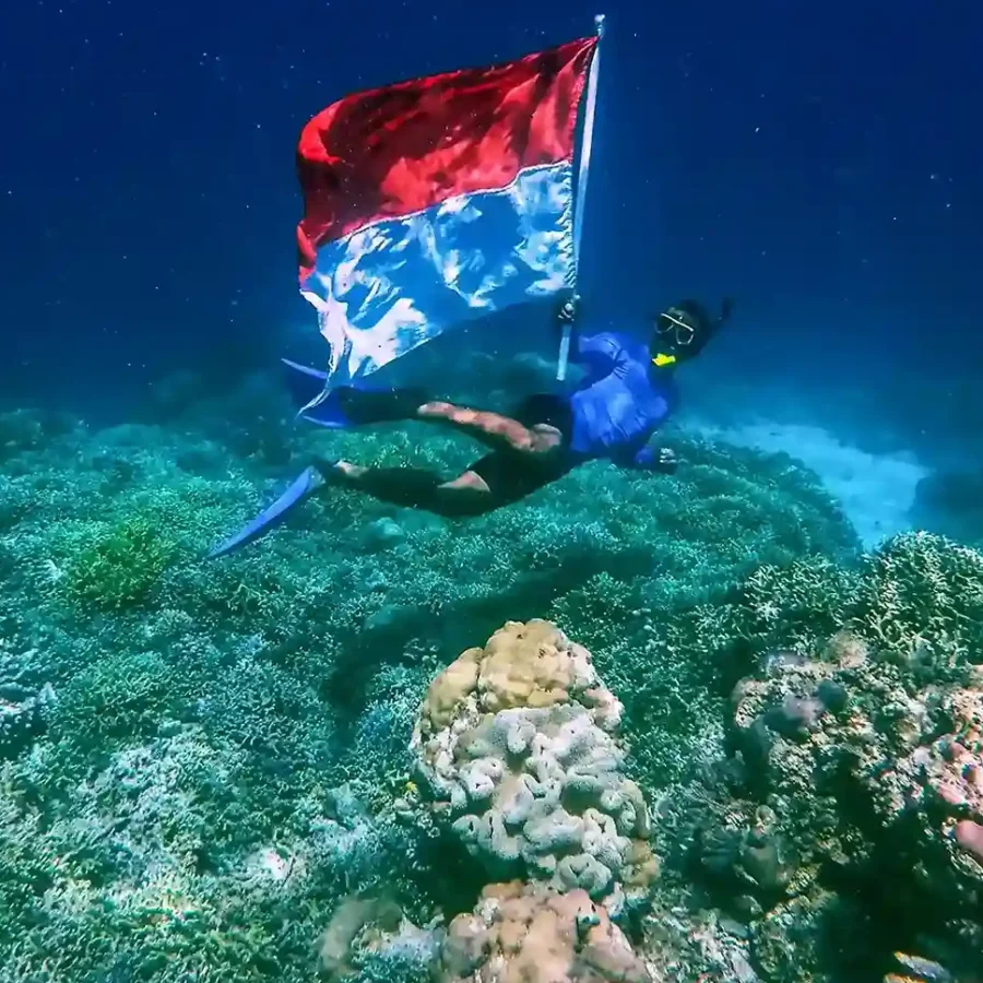 Diving in Morotai (source: wikimedia-commons)