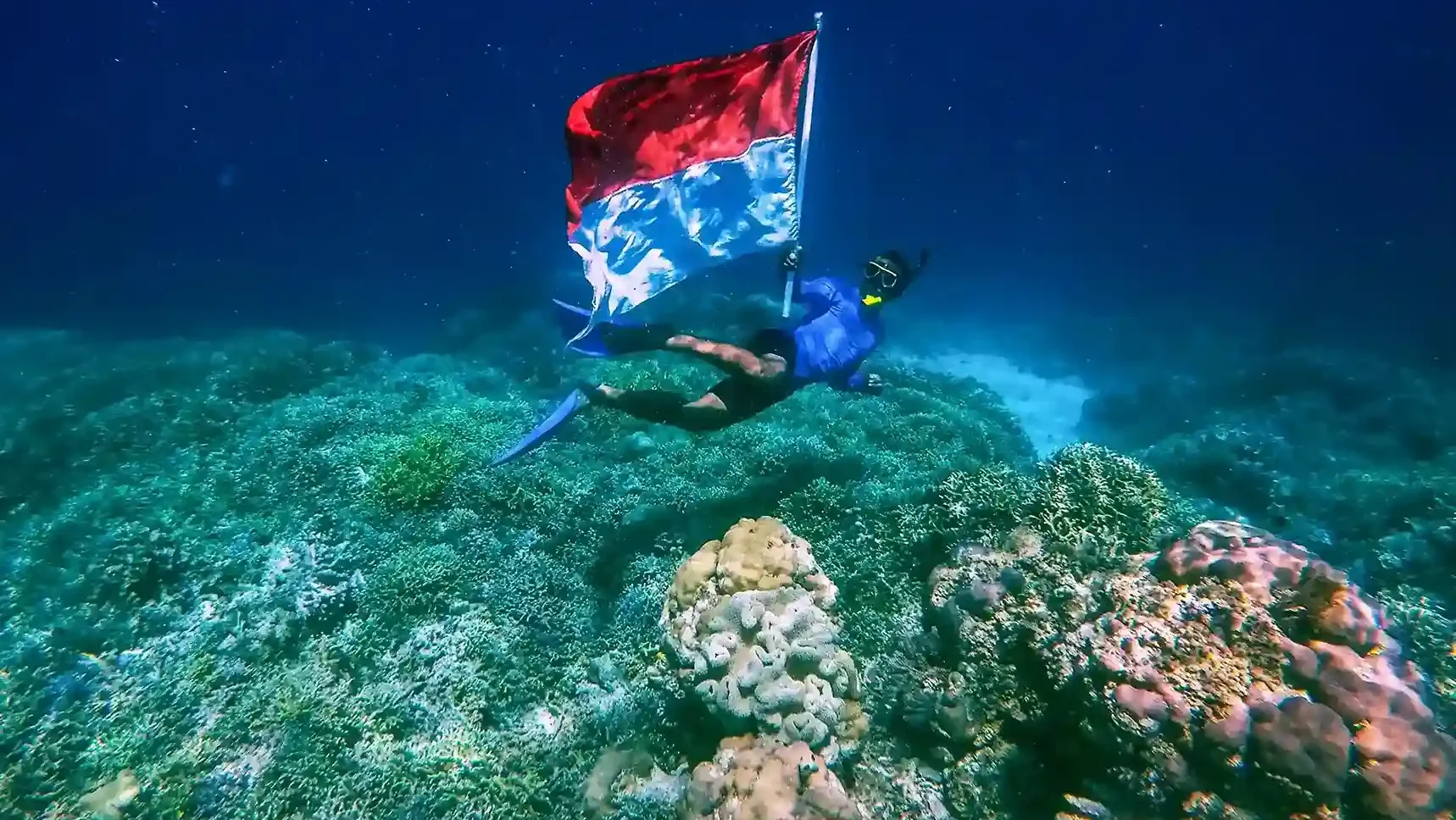 Diving in Morotai (source: wikimedia-commons)