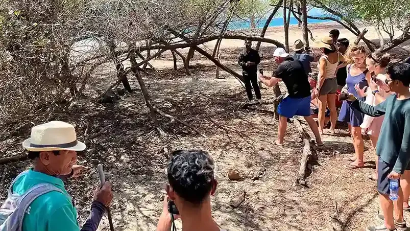 Trek Trails on Komodo Island | IndonesiaJuara Trip