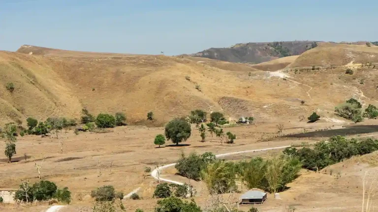 Puru Kambera Sumba: African Vibes in Eastern Indonesia