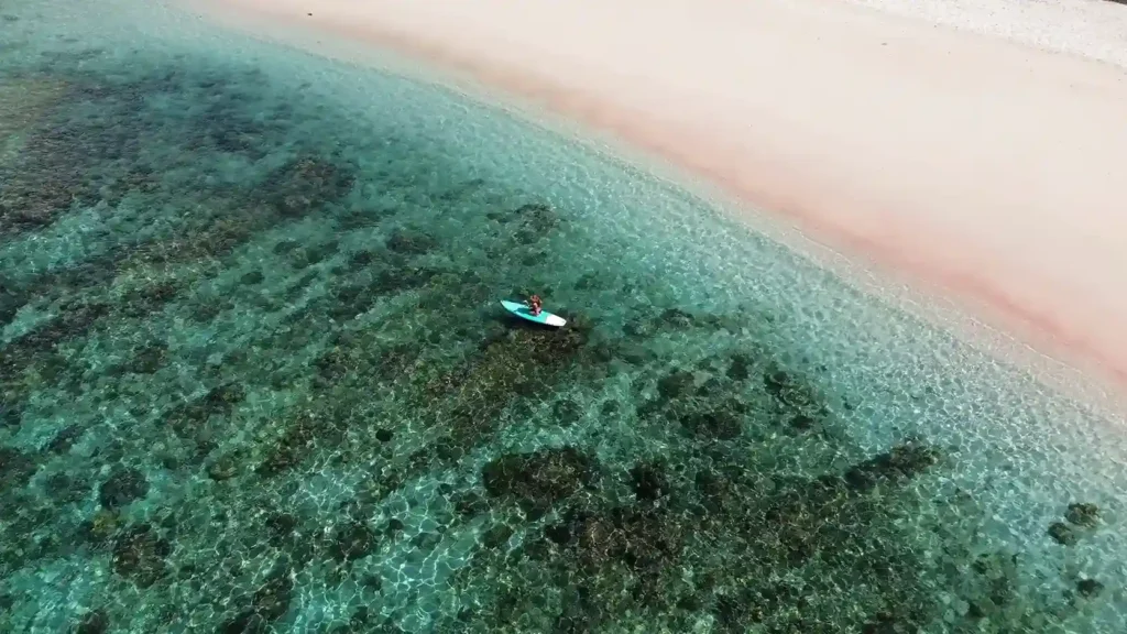 Paddleboarding in Pink Beach Labuan Bajo | Activitie at Pink Beach | Indonesia Juara Trip