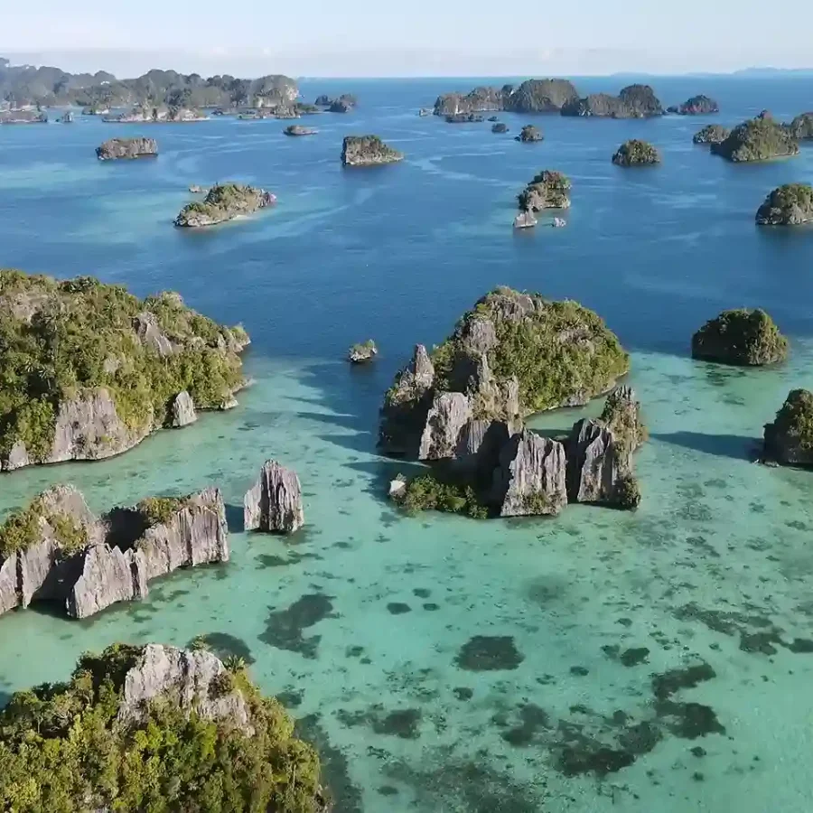 Misool Raja Ampat | Reasons to Go on Holiday to Misool Raja Ampat | Indonesia Juara Trip