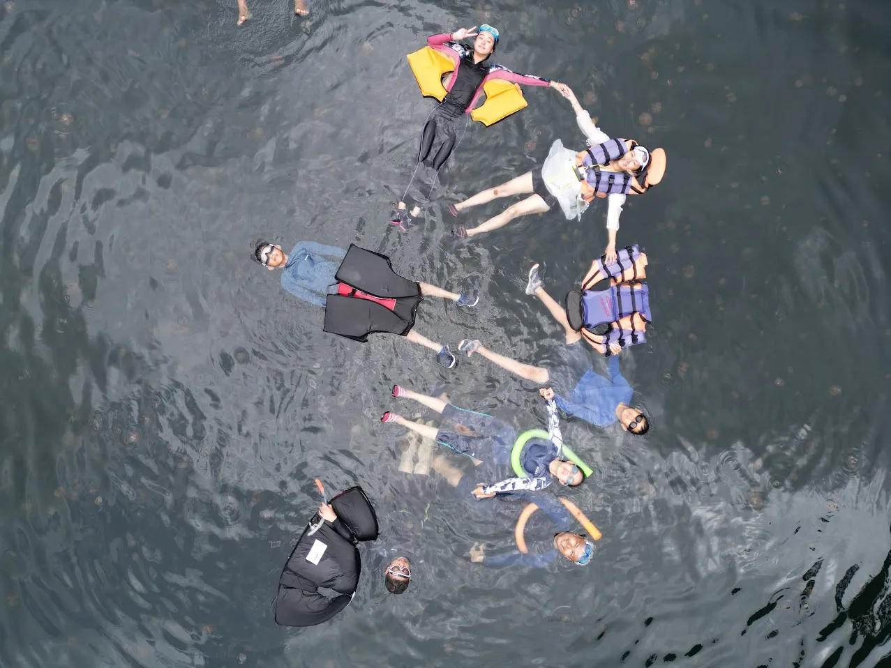 Jellyfish Lake