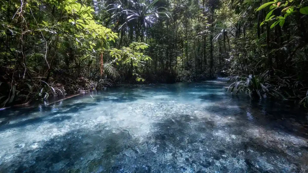Kalibiru Raja Ampat | Indonesia Juara Trip