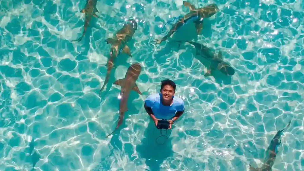 Wayag (Shark Post) | Wayag Raja Ampat | IndonesiaJuara Trip