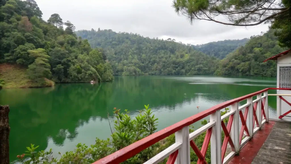 Limbong Lake Toraja | Toraja Tourist Attractions | Indonesia Juara Trip