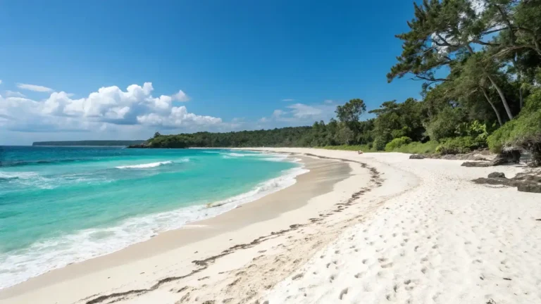 Puru Kambera Beach: A Hidden Natural Beauty in East Sumba
