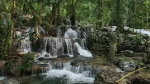 Air Terjun Mukokawa (Source: Google Maps | Willy Photograph)