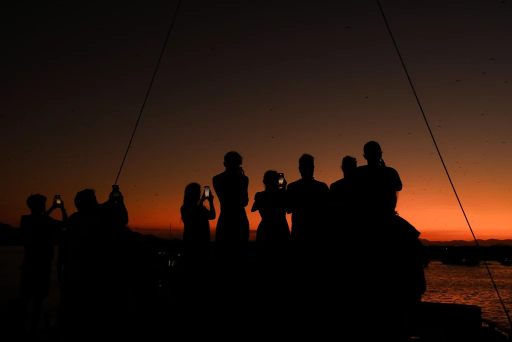 Enjoy the Sunset View in Kalong Island Labuan Bajo | Labuan Bajo Tour | Indonesia Juara Trip