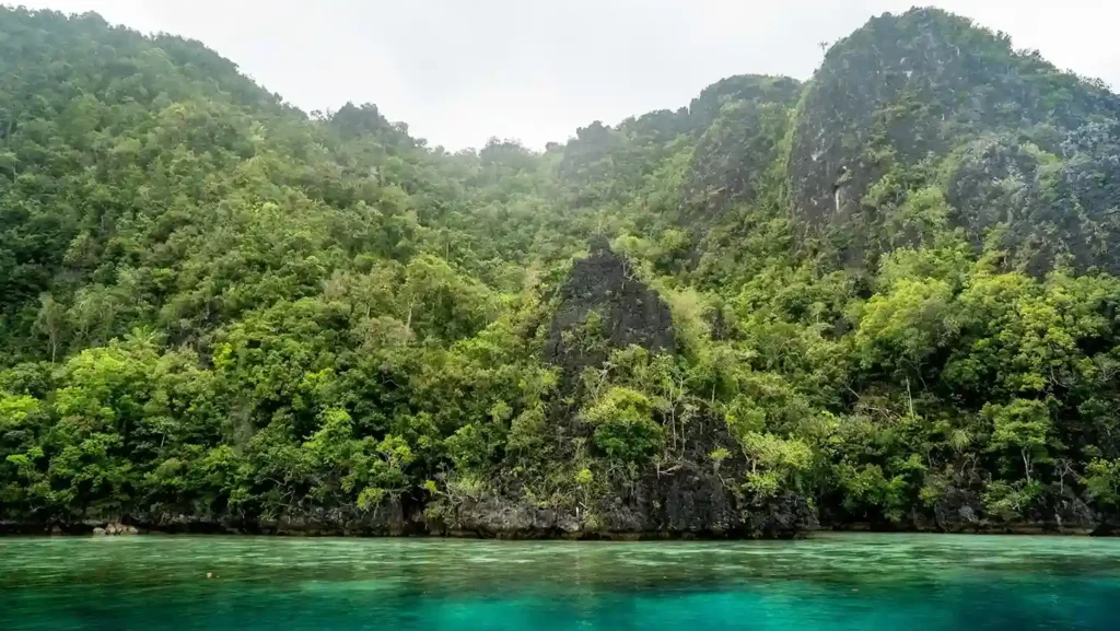 Yapap Misool in Raja Ampat | Raja Ampat Tour | IndonesiaJuara Trip