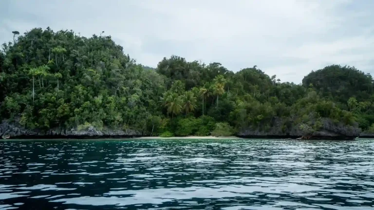 Explore Yapap Misool: Natural Lagoon in Raja Ampat