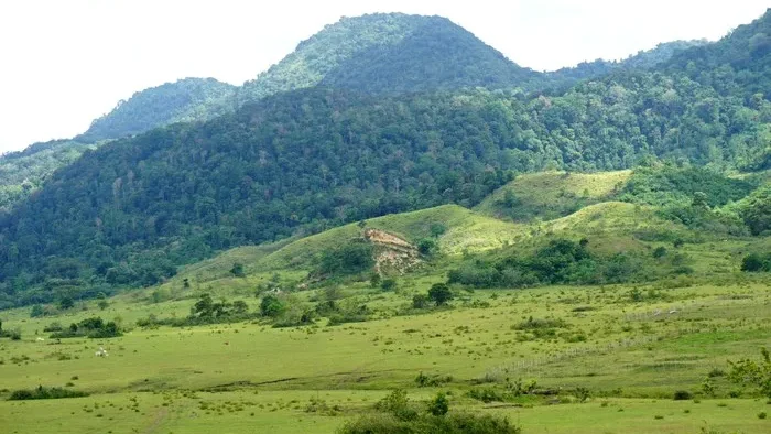 Padang Lenyek Village (Source: travel.detik.com)