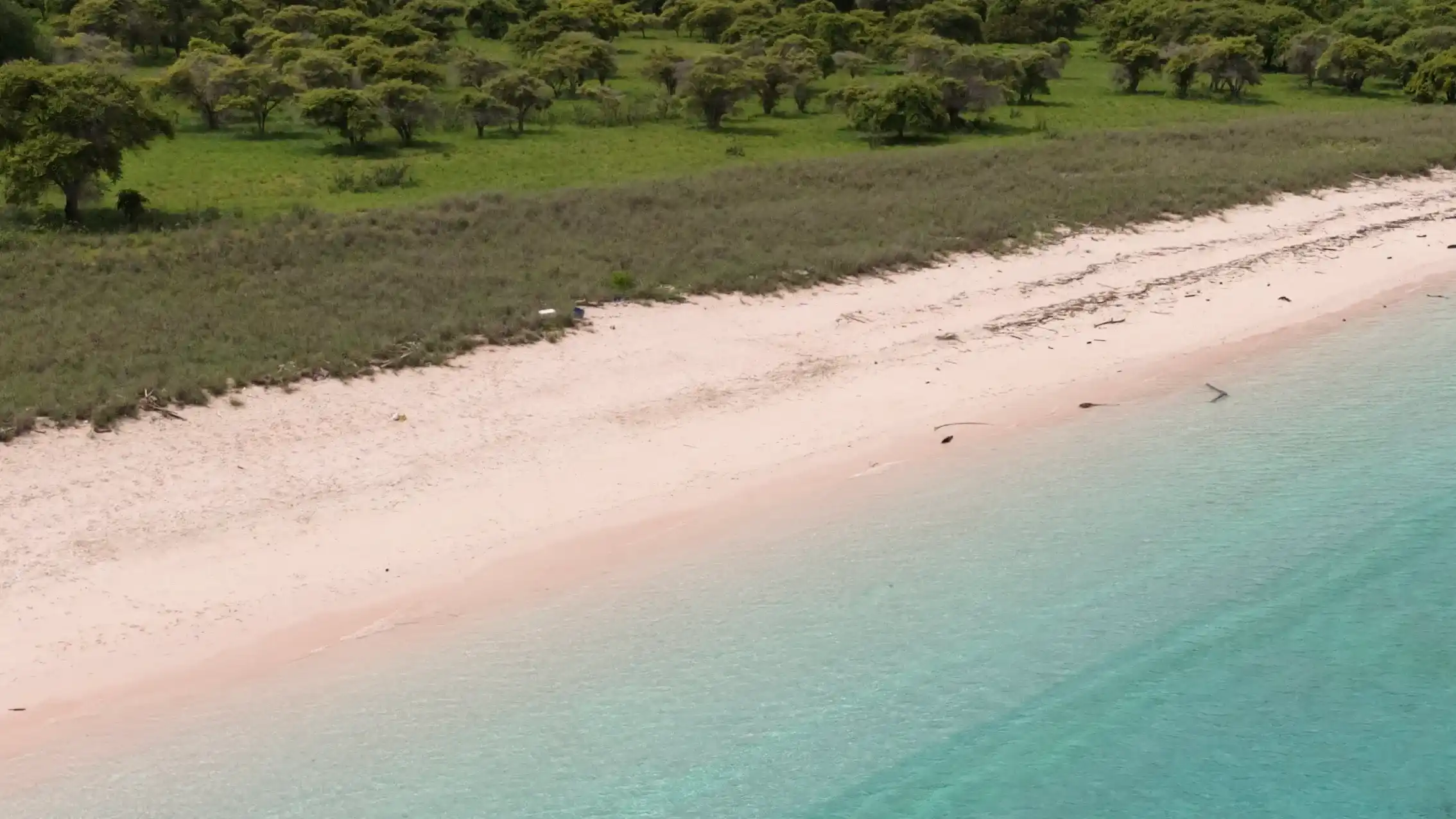 Pink Beach Labuan Bajo | Pantai di Labuan Bajo | Labuan Bajo Tour | IndonesiaJuara Trip
