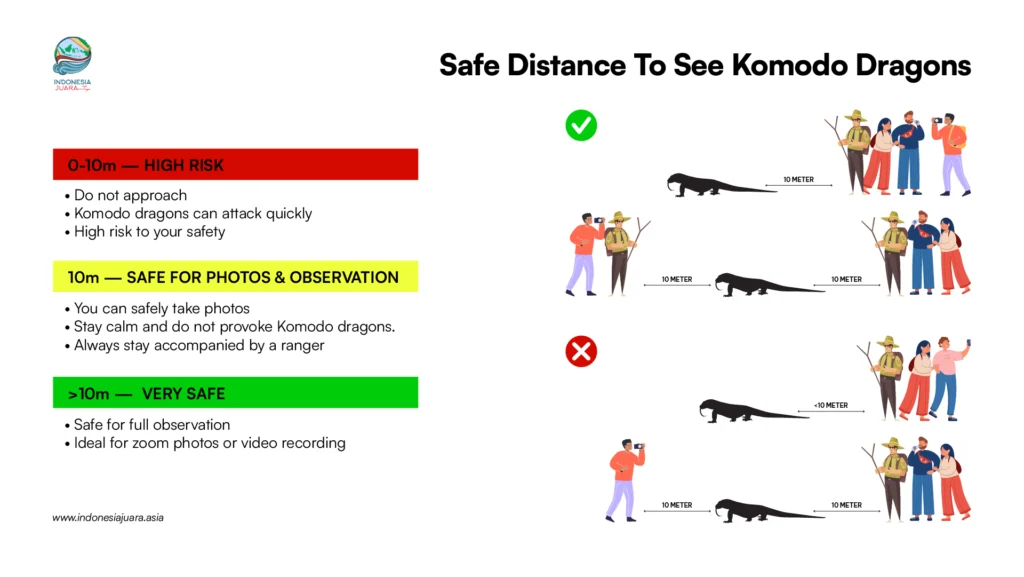 Safe Distance to See Komodo Dragons | Labuan Bajo Tour | IndonesiaJuara Trip