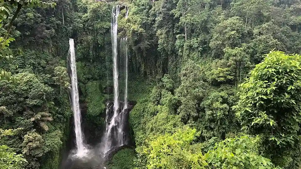 Sekumpul Waterfall (Source: tripadvisor | KIRILL FIRSOV)
