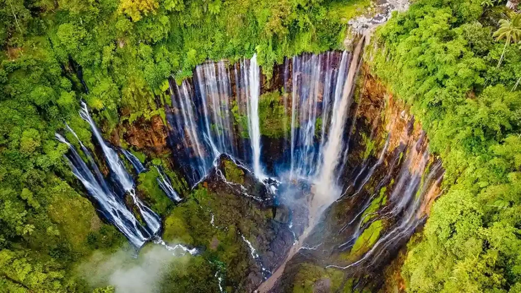 Tumpak Sewu Waterfall (Source: tripadvisor | Moercoyo Adventure)