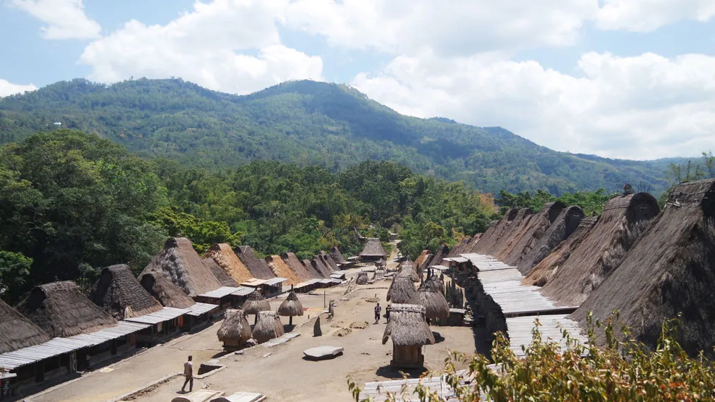 Bena Village (Source: indonesiakaya.com)