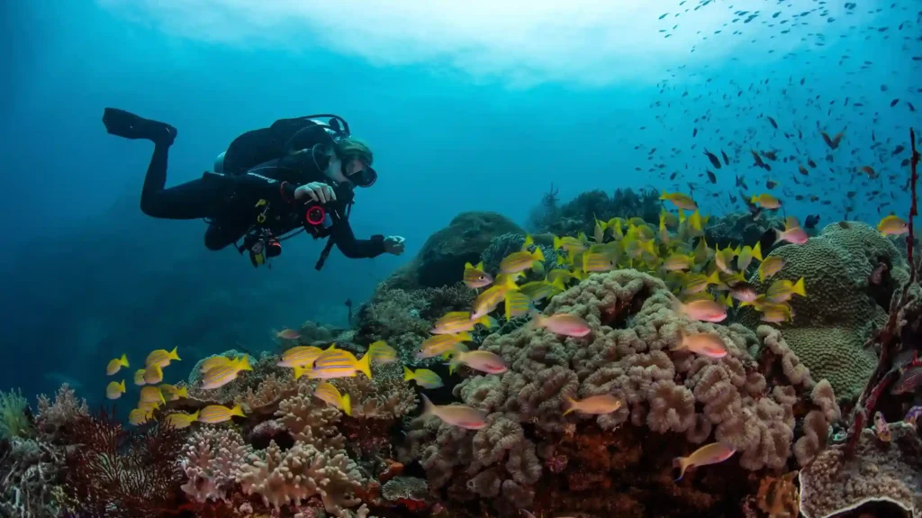 Diving di Raja Ampat | Raja Ampat Tour | IndonesiaJuara Trip