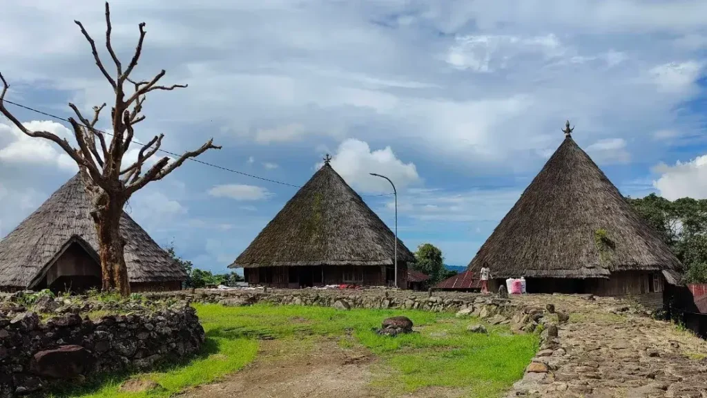 Ruteng Pu'u Traditional Village (Source: Google Maps | Devdatta Mulay)