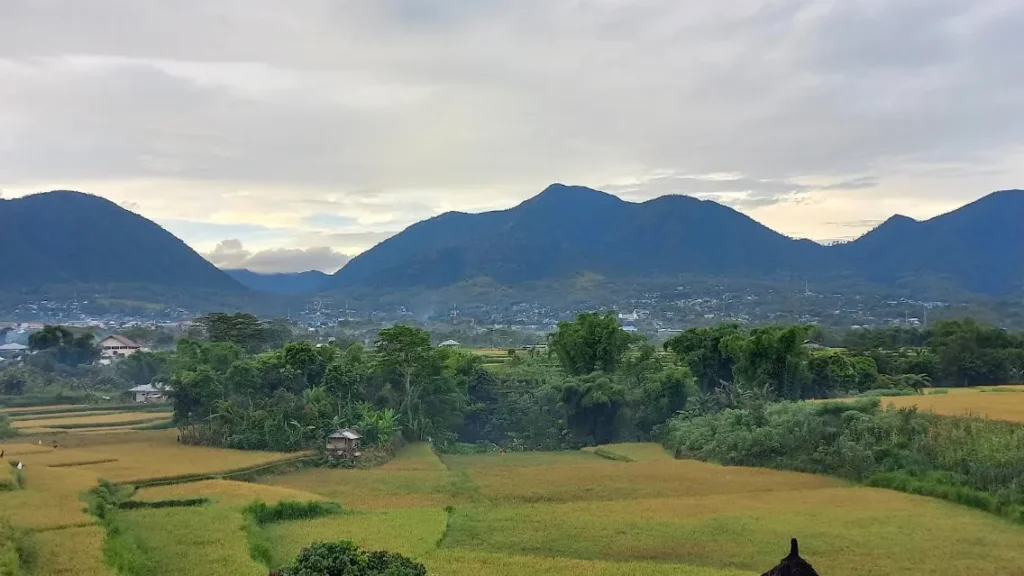 The Beauty of Ruteng Flores (Source: Google Maps | Cindar Chaliq)