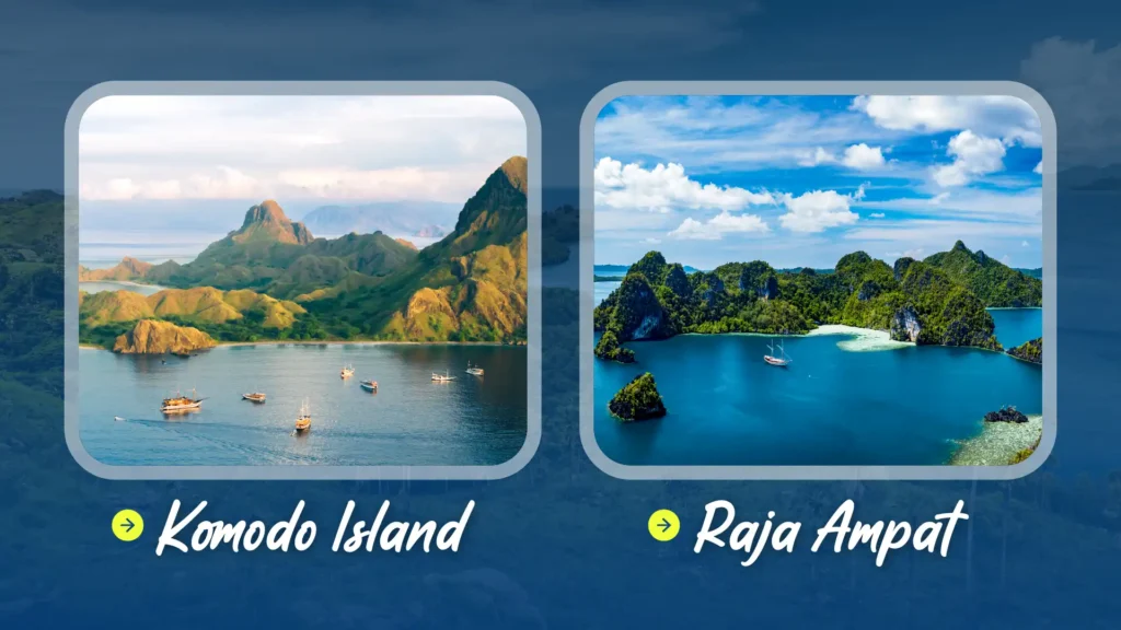 Komodo Island or Raja Ampat | IndonesiaJuara Trip