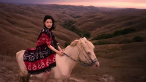 Sumba Horse | Sumba Tour | IndonesiaJuara Trip