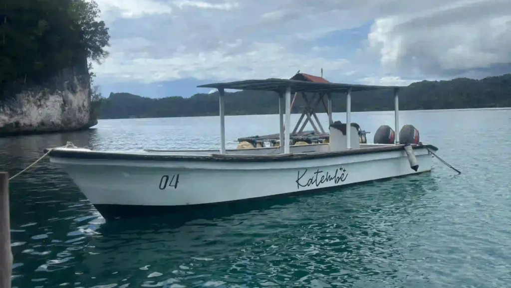 Speedboat Ketembe | Raja Ampat Tour | IndonesiaJuara Trip