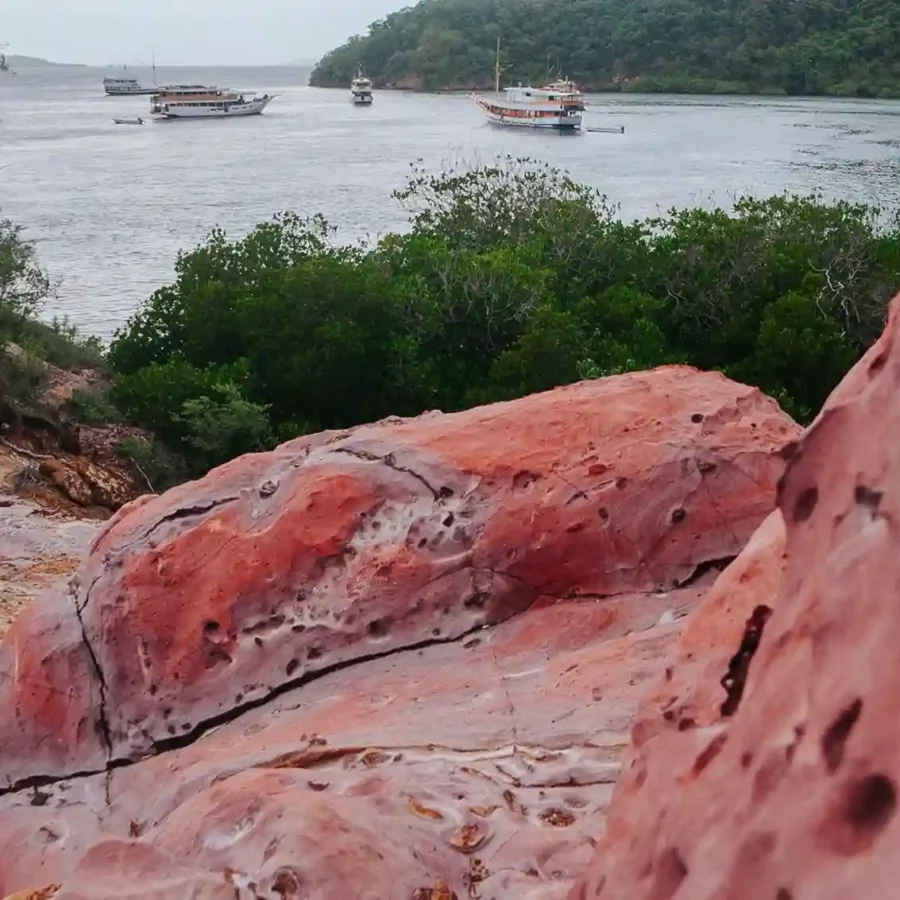 Strawberry Rock Labuan Bajo | Labuan Bajo Tour | IndonesiaJuara Trip