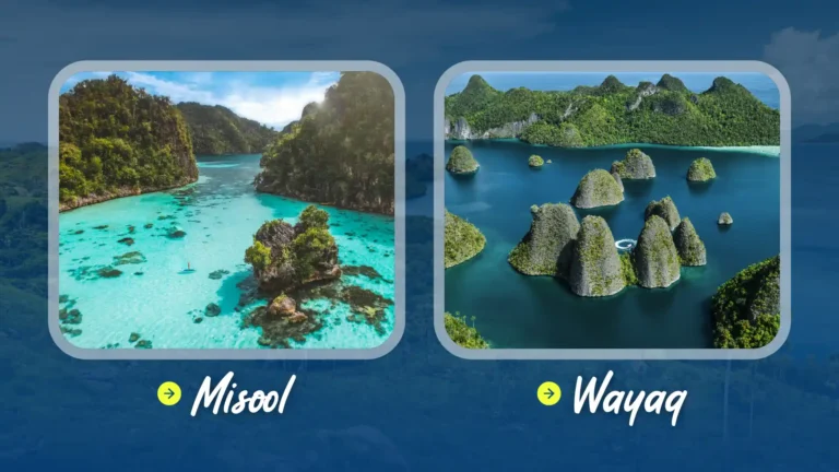 Misool or Wayag: Which One Suits Your Raja Ampat Vacation?