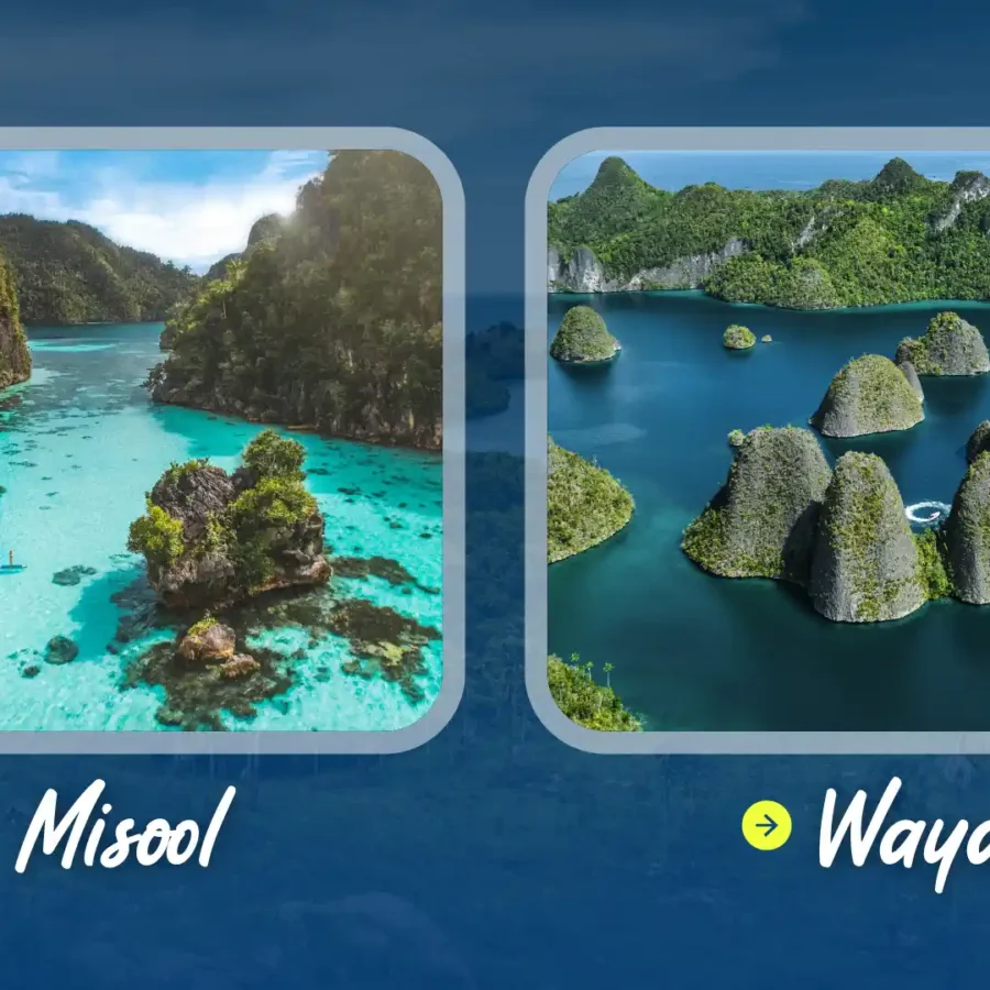 Misool or Wayag | IndonesiaJuara Trip