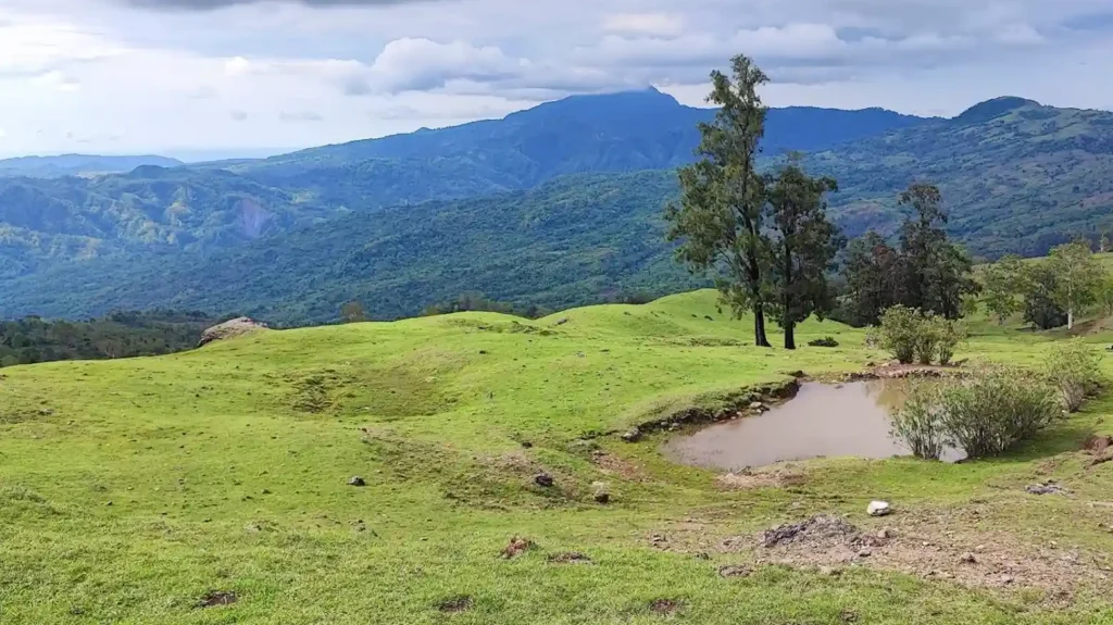 Timor Island East Nusa Tenggara (Source: GoogleMaps | robert kindangen)