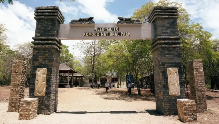 New Visit Regulations at Komodo National Park 2026: Find Out Here!